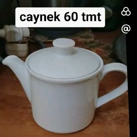 Caynek
