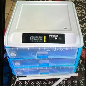 Inkubator 250 yumutgalyk