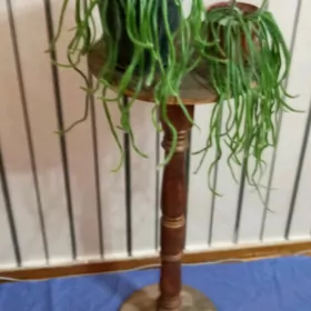 дом цветы, подставка