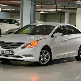 Hyundai Sonata 2010