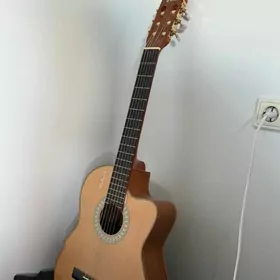 Gitara Valencia