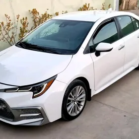 Toyota Corolla 2020