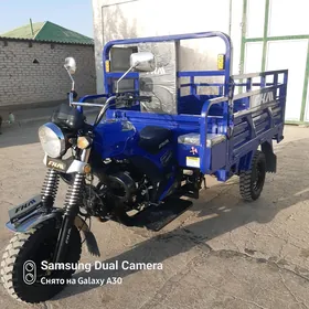 Fekon FK200-14G 2024