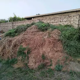 ерунжа от