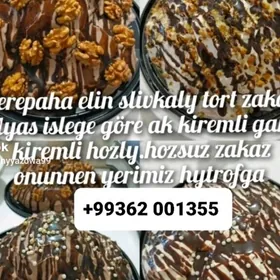 Tortlar elin domaşny