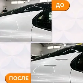 Žabra