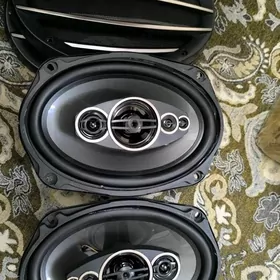 Pioneer Kalonka