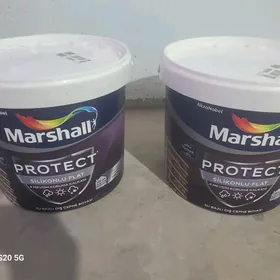 Marshall Slikonly boyag