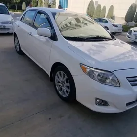 Toyota Corolla 2010