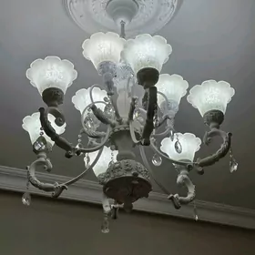 Lÿustra