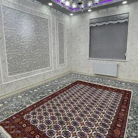 Taze gurtly 3 kom