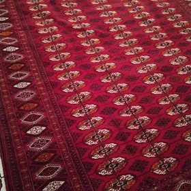turkmen haly taze