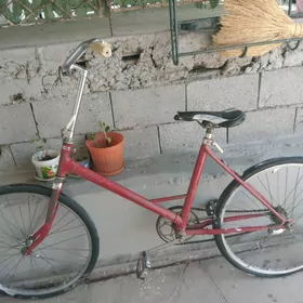 Tigir 500 yuzulik
