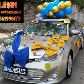 SATLYK TOÝ BEZEGLERI