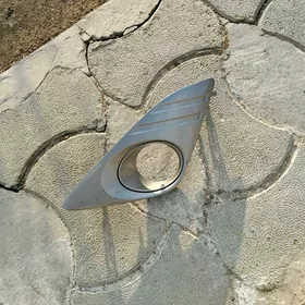 tumannik ocki