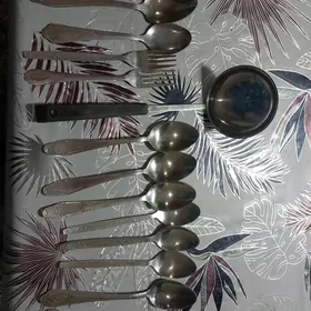 лошки и паловник
