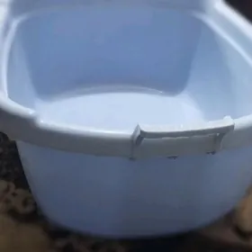 тазы