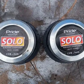 pride sola 300W