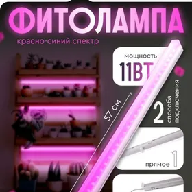 лампа