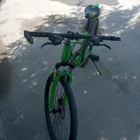 Turkmenistan tigir