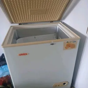 Holodenik omega