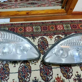 Gazel Fara