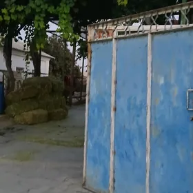 Eyesinden Bagyr Merkez 8 sotok