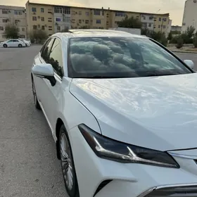 Toyota Avalon 2019
