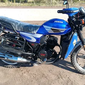 Fekon FK150-8G 2025