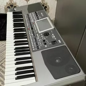 Korg Pa-900 zwer