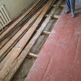 Polluk agac laminat alyan