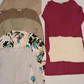 кофталар  жинсилар