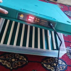 Inkibator 64 Yumurtga