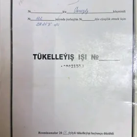 Dokument yitdi Caryýew