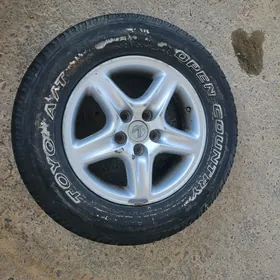 Rx300 Diska