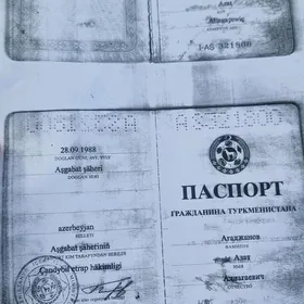 Pasport ýitdi