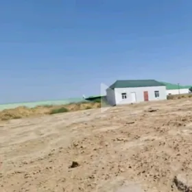 satlyk wremyanka