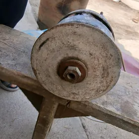Tacila
