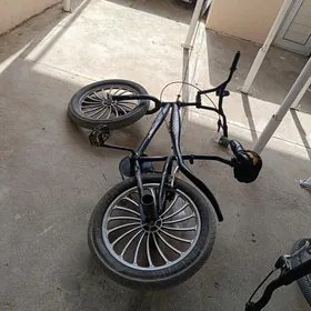 duga tigyr