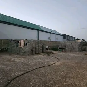 GYPĴAK 8 SOTOK