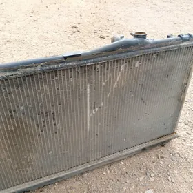 Rodyator