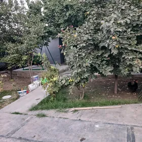Arenda jaý plan jaý