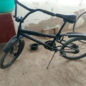 ýigit duga