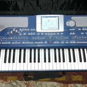 KORG PA 800