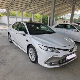 Toyota Camry 2019