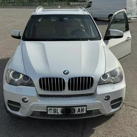 BMW X5 2010