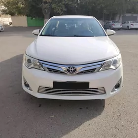 Toyota Camry 2013