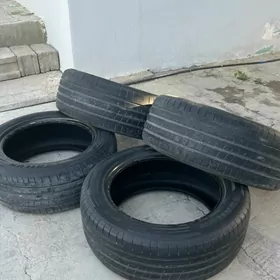 шины 255/55/19