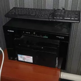 Canon 3010