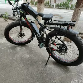 tokly tigir